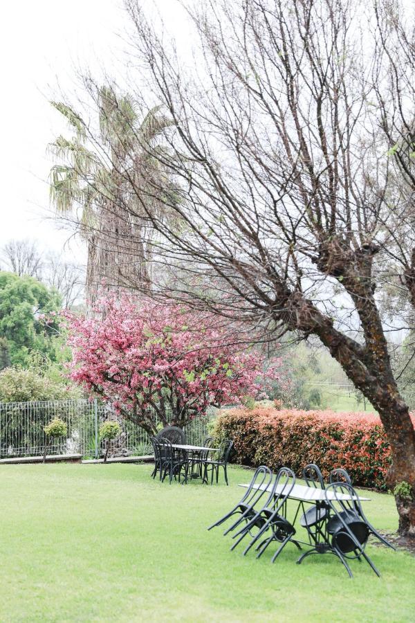 Harriet House Tumut Motel Bagian luar foto